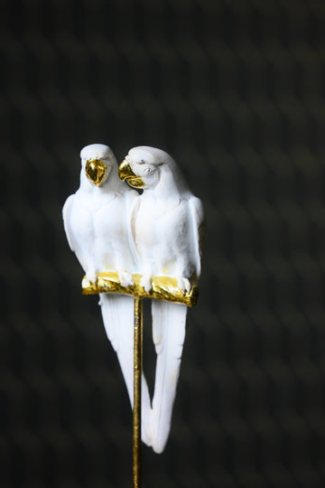 White Cockatoo